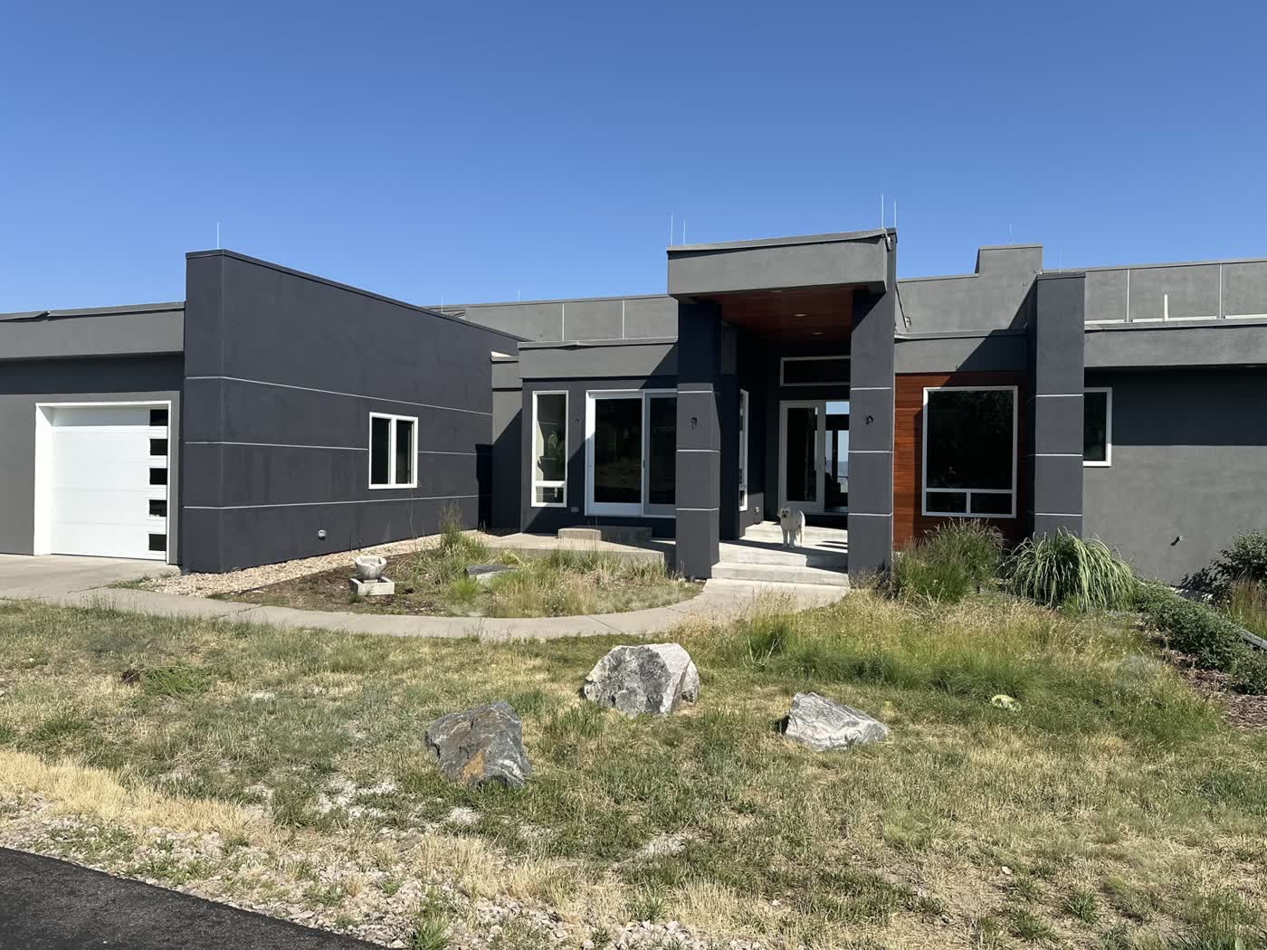Modern dark-stucco home with contrasting trim